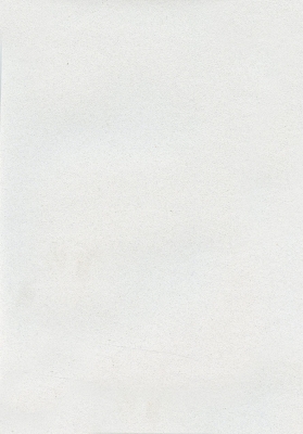 Мазилка POLISTOF P 388