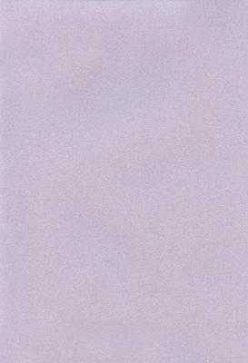 Мазилка POLISTOF P 397 + L50