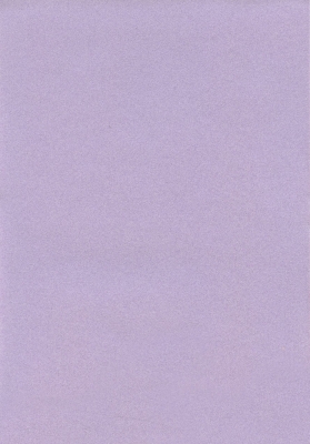 Мазилка POLISTOF P 398