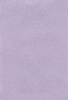 Мазилка POLISTOF P 398 + L50