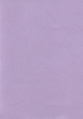 Мазилка POLISTOF P 399