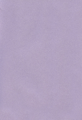 Мазилка POLISTOF P 399 + L50