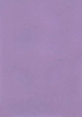 Мазилка POLISTOF P 410
