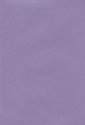 Мазилка POLISTOF P 411 + L50