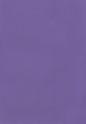 Мазилка POLISTOF P 412