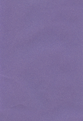 Мазилка POLISTOF P 412 + L50