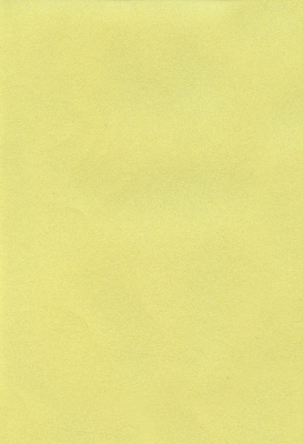 Мазилка POLISTOF P 416 + L50