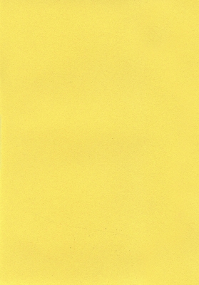 Мазилка POLISTOF P 417