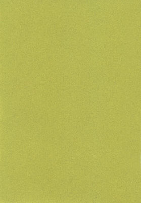 Мазилка POLISTOF P 419