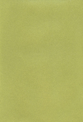 Мазилка POLISTOF P 419 + L50