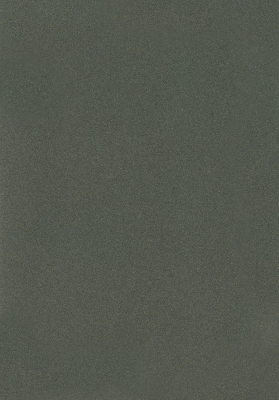 Мазилка POLISTOF P 421