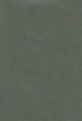 Мазилка POLISTOF P 421 + L50