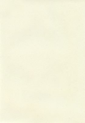 Мазилка POLISTOF P 422