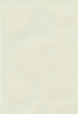 Мазилка POLISTOF P 422 + L50