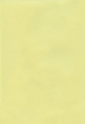 Мазилка POLISTOF P 423 + L50