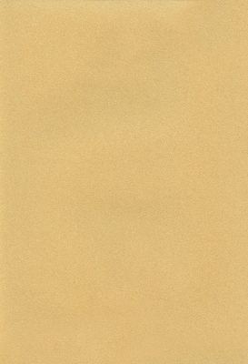 Мазилка POLISTOF P 424 + L50