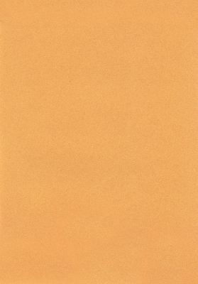 Мазилка POLISTOF P 425