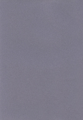 Мазилка POLISTOF P 427