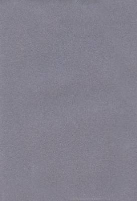 Мазилка POLISTOF P 427 + L50