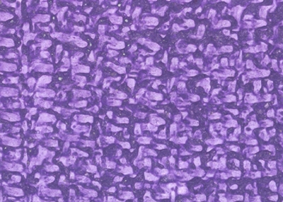 Мазилка JUTA RIF.901