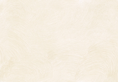 Мазилка VELIDOR FINE Velidor fine 470D