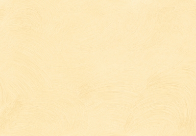 Мазилка VELIDOR FINE Velidor fine 474C