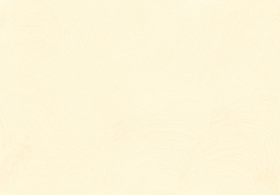 Мазилка VELIDOR FINE Velidor fine 474D