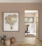 Мазилка METEORE 10 INTONACO