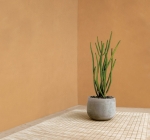 Мазилка METEORE 10 INTONACO