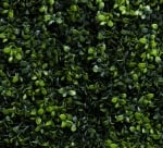 Декоративни зелени пана MIKA 100% PVC