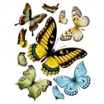 Стикер 15131-1069 Големи пеперуди 65х85см